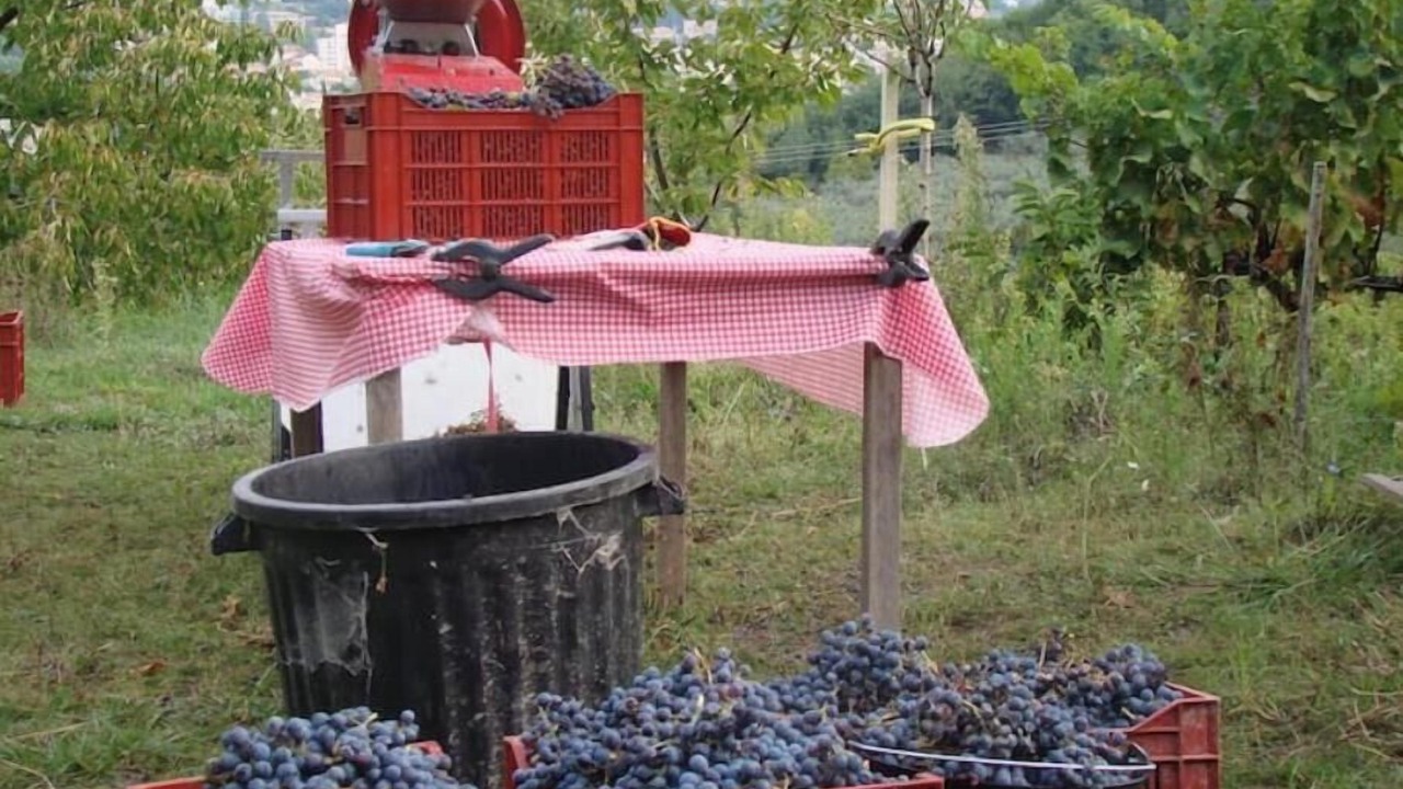 Photo of Outdoor in Nyons