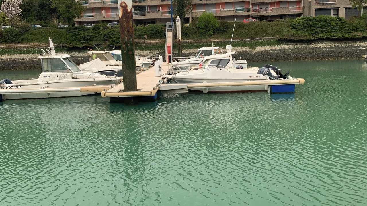 Photo of Others in Saint-Valery-en-Caux