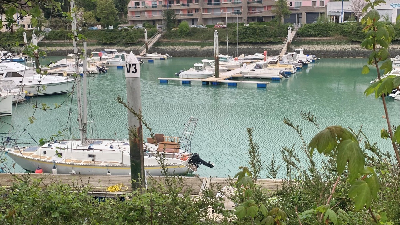 Photo of Others in Saint-Valery-en-Caux