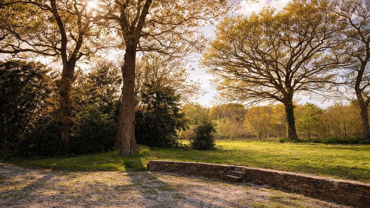 Photo of Others in Vaire