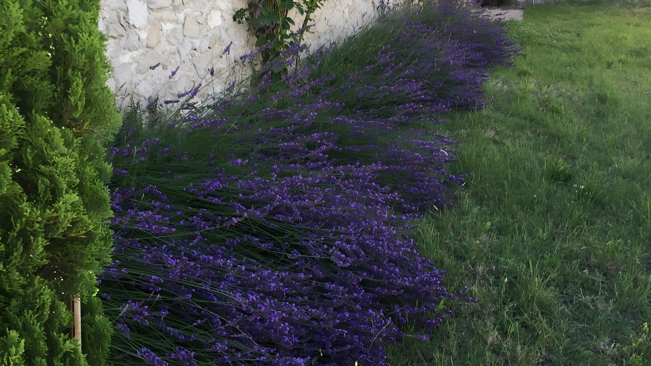 Photo of Outdoor in Saint-Victor-de-Malcap