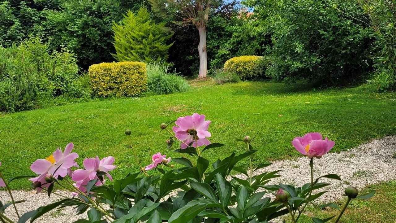 Photo of Outdoor in Nieul-sur-l'Autise