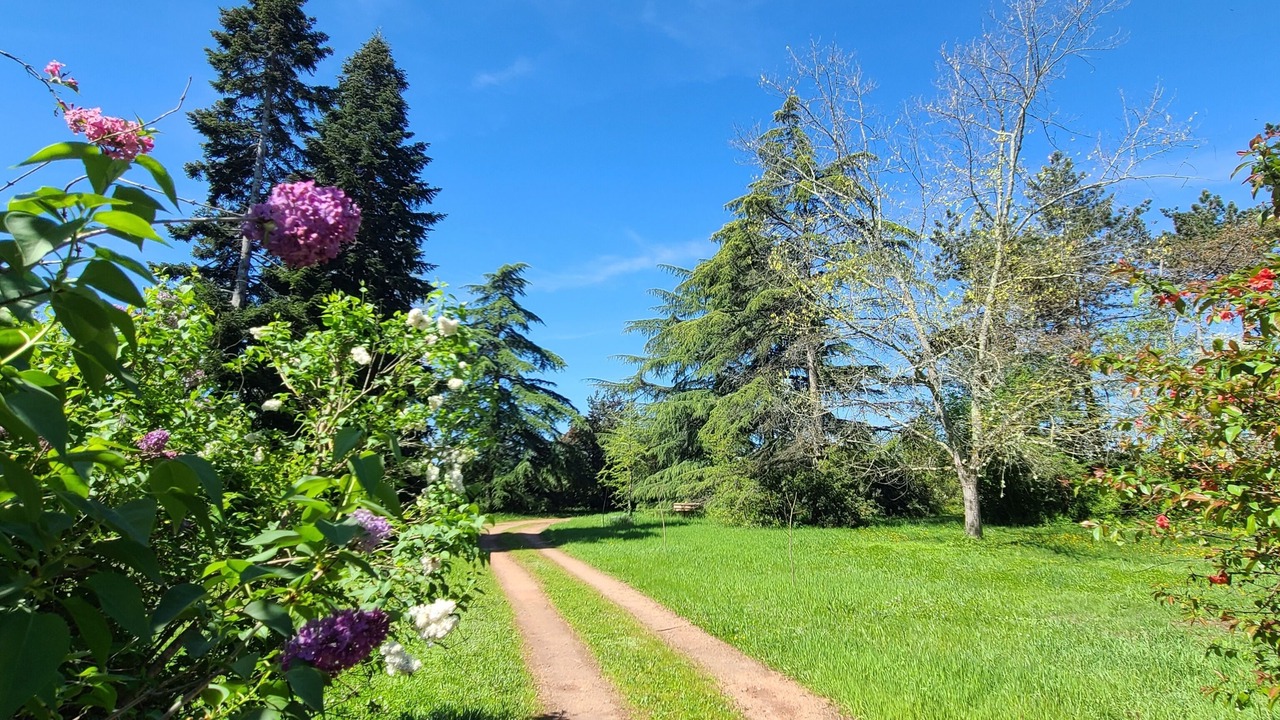 Photo of Outdoor in Villeneuve-sur-Lot