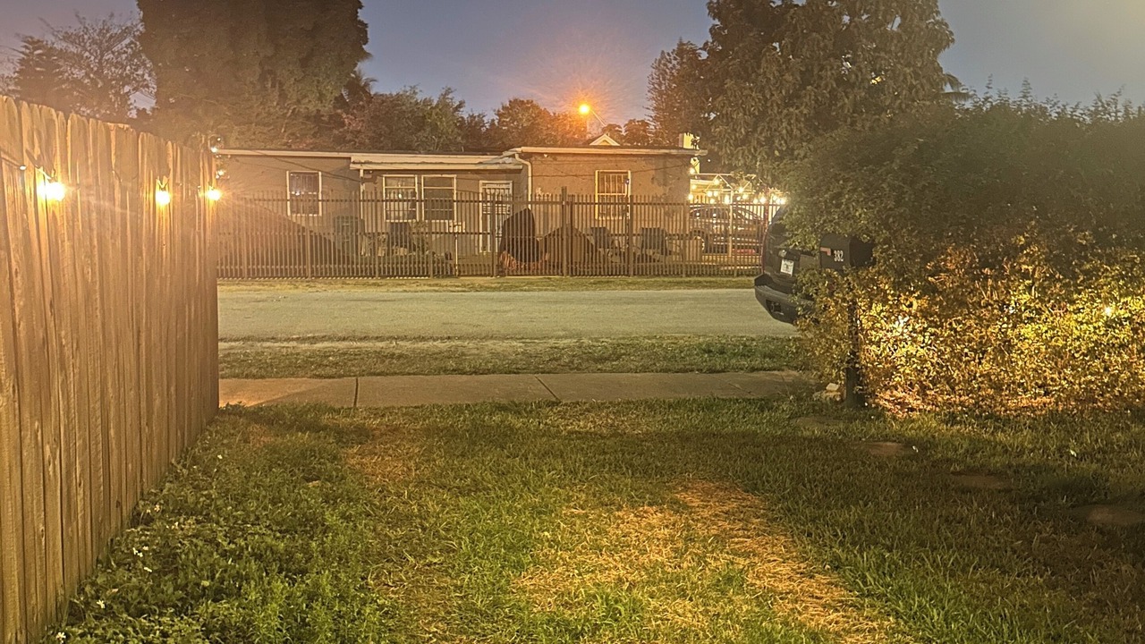 Photo of Outdoor in West Little River