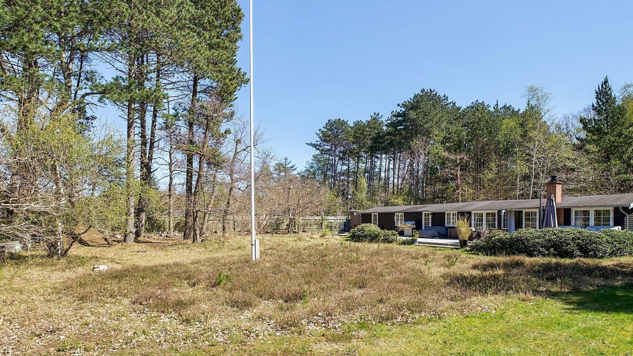 Photo of Others in Hoeve Strand