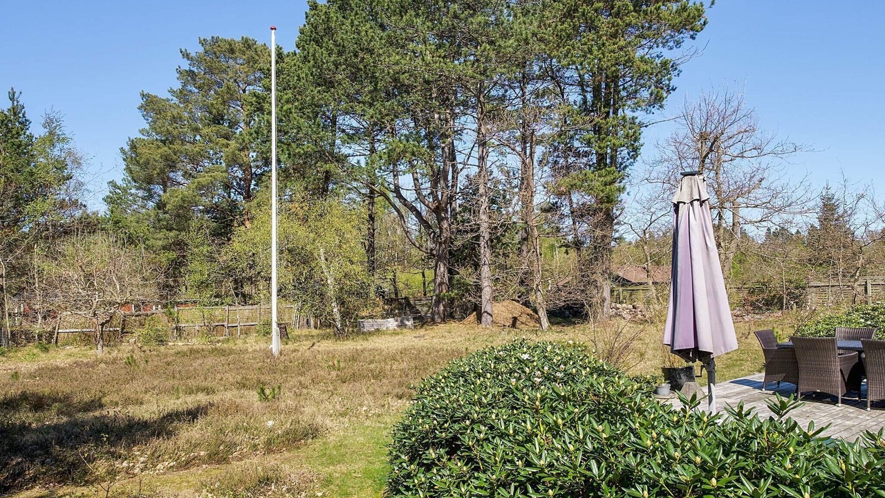 Photo of Others in Hoeve Strand