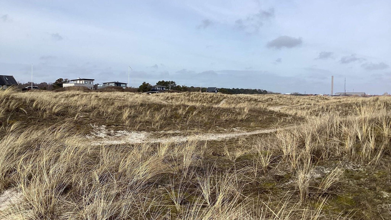 Photo of Others in Grena Strand