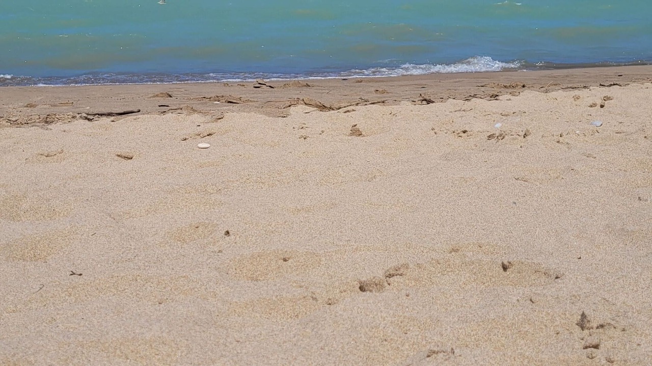 Photo of Others in Grand Bend