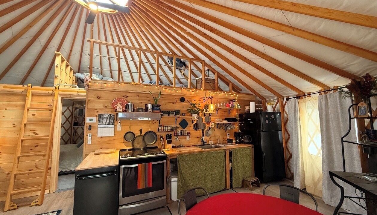 Photo of Kitchen in Clarendon