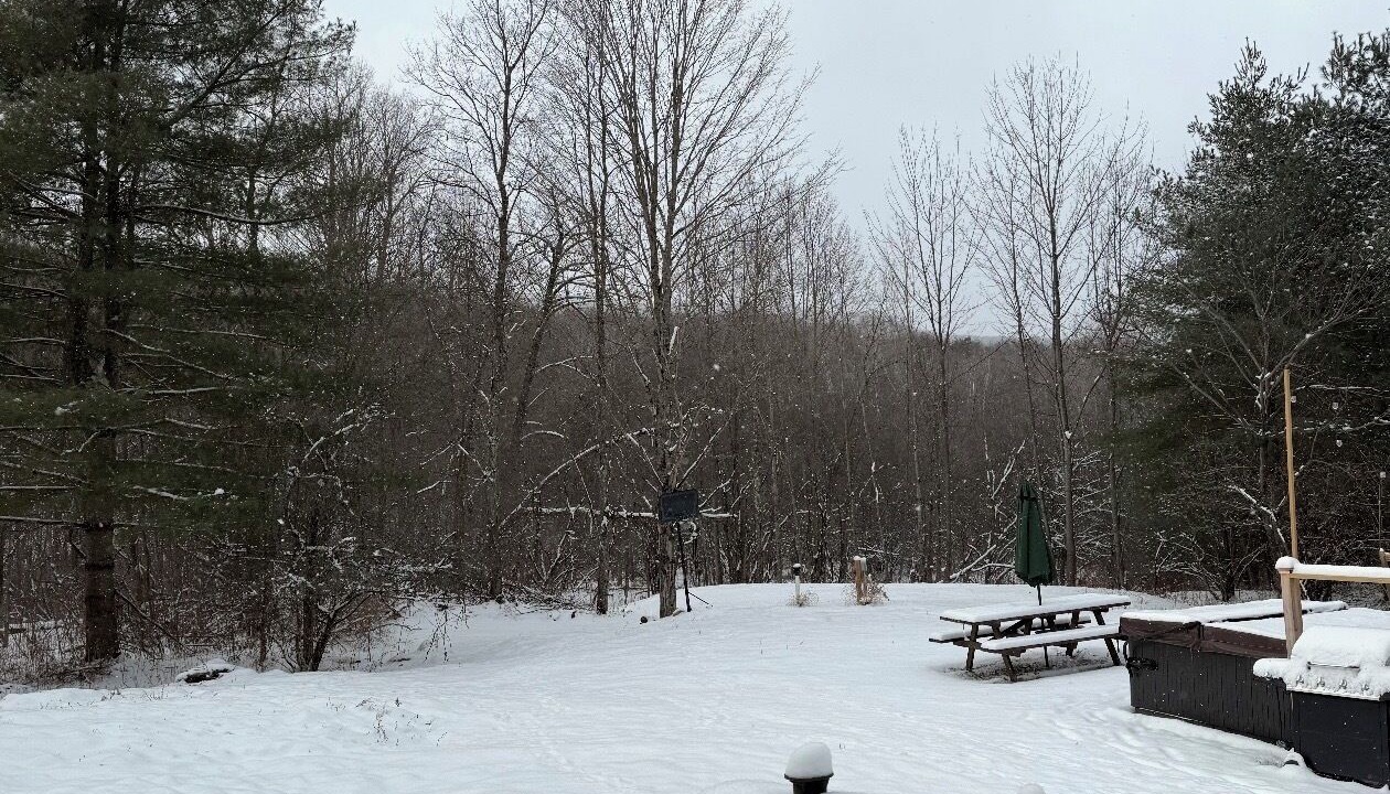 Photo of Outdoor in Clarendon