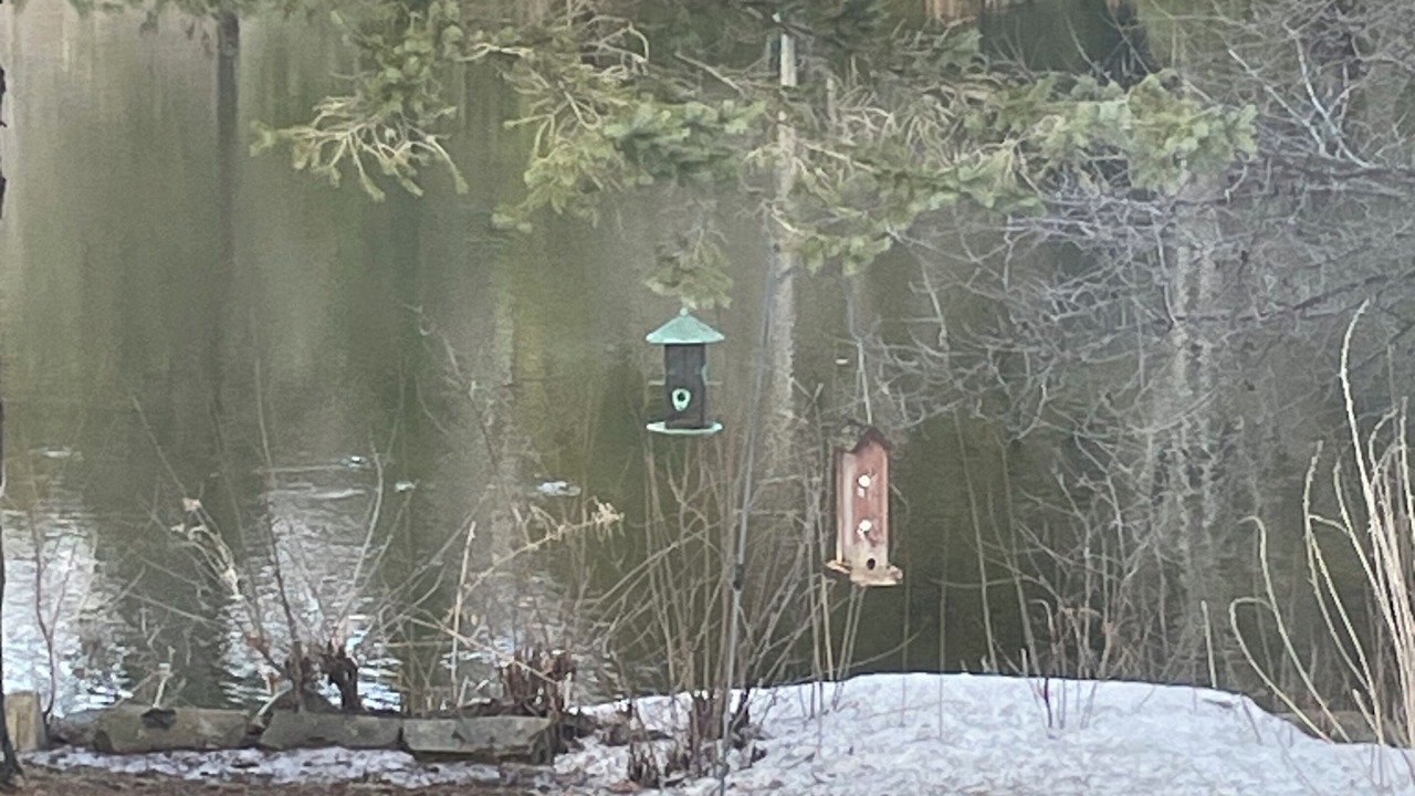 Photo of Others in Saint-Andre-Avellin