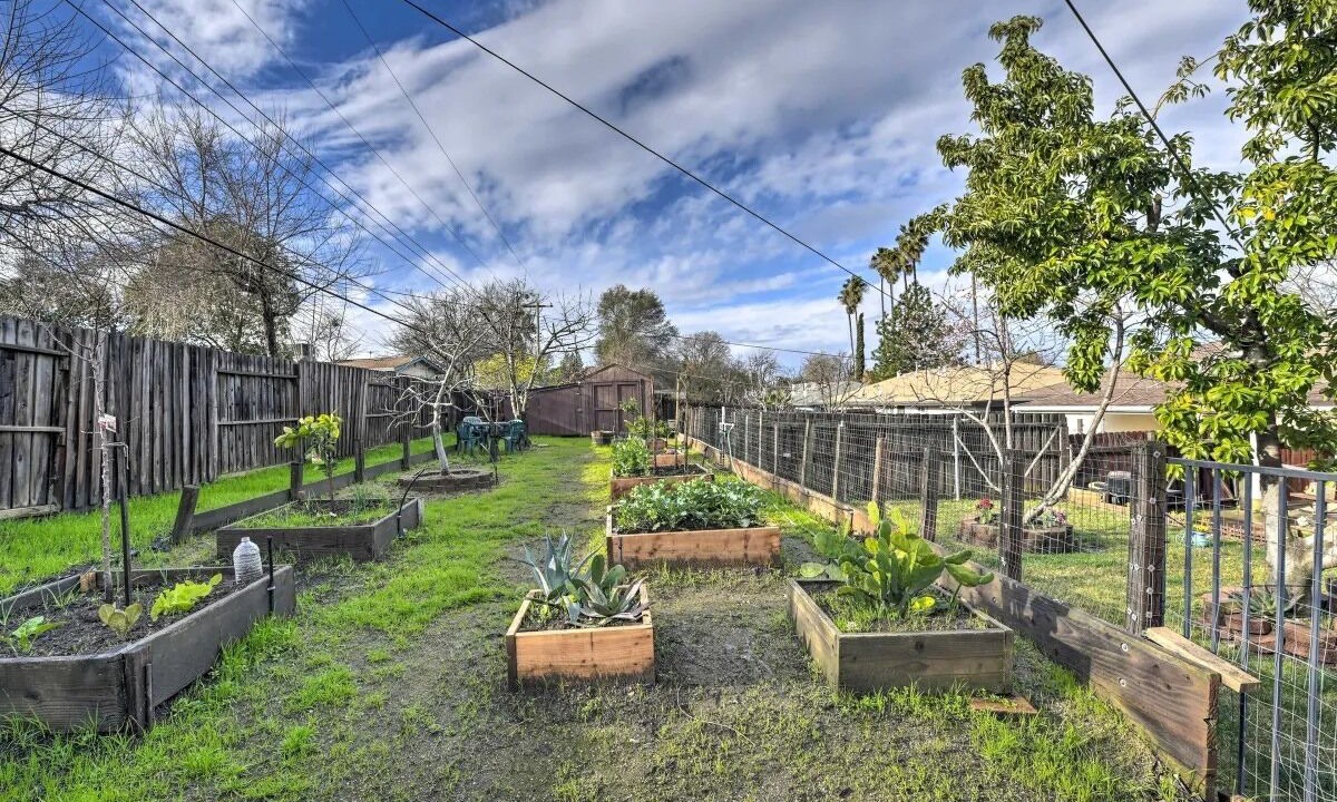 Photo of Outdoor in Sacramento