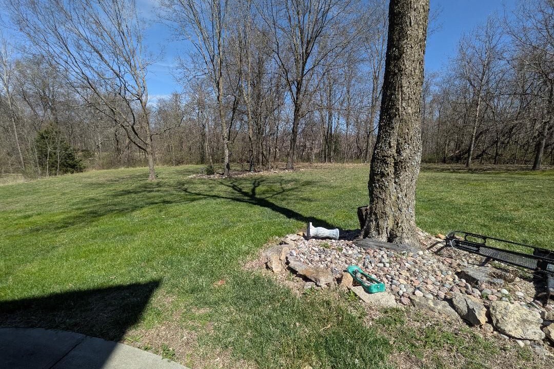 Photo of Others in Blue Springs