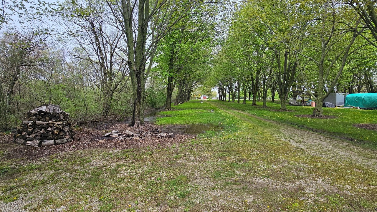 Photo of Outdoor in Kingsville