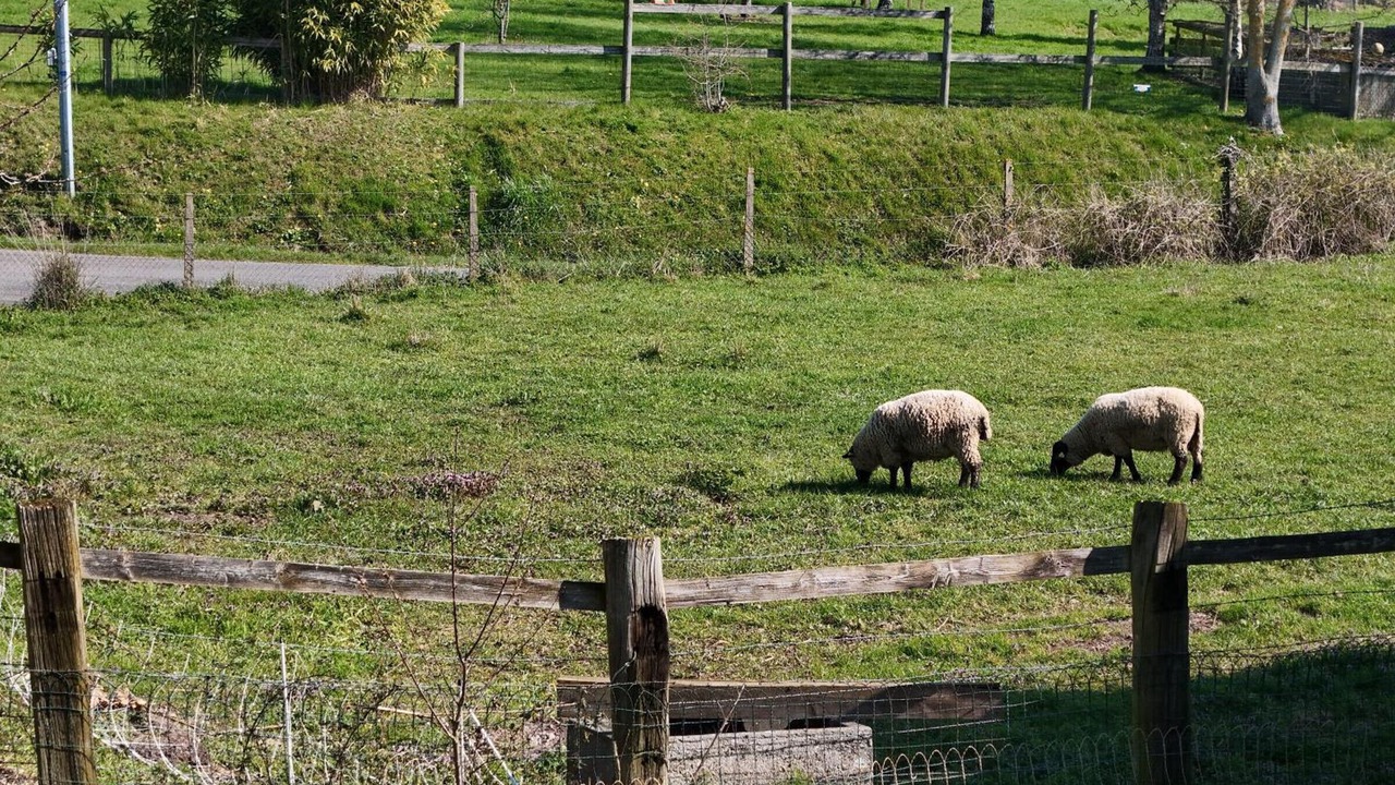 Photo of Others in Godisson