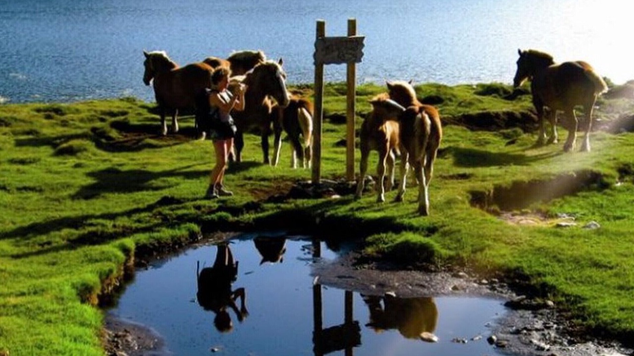 Photo of Others in Estavar