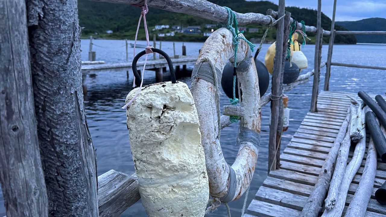 Photo of Others in Terra Nova