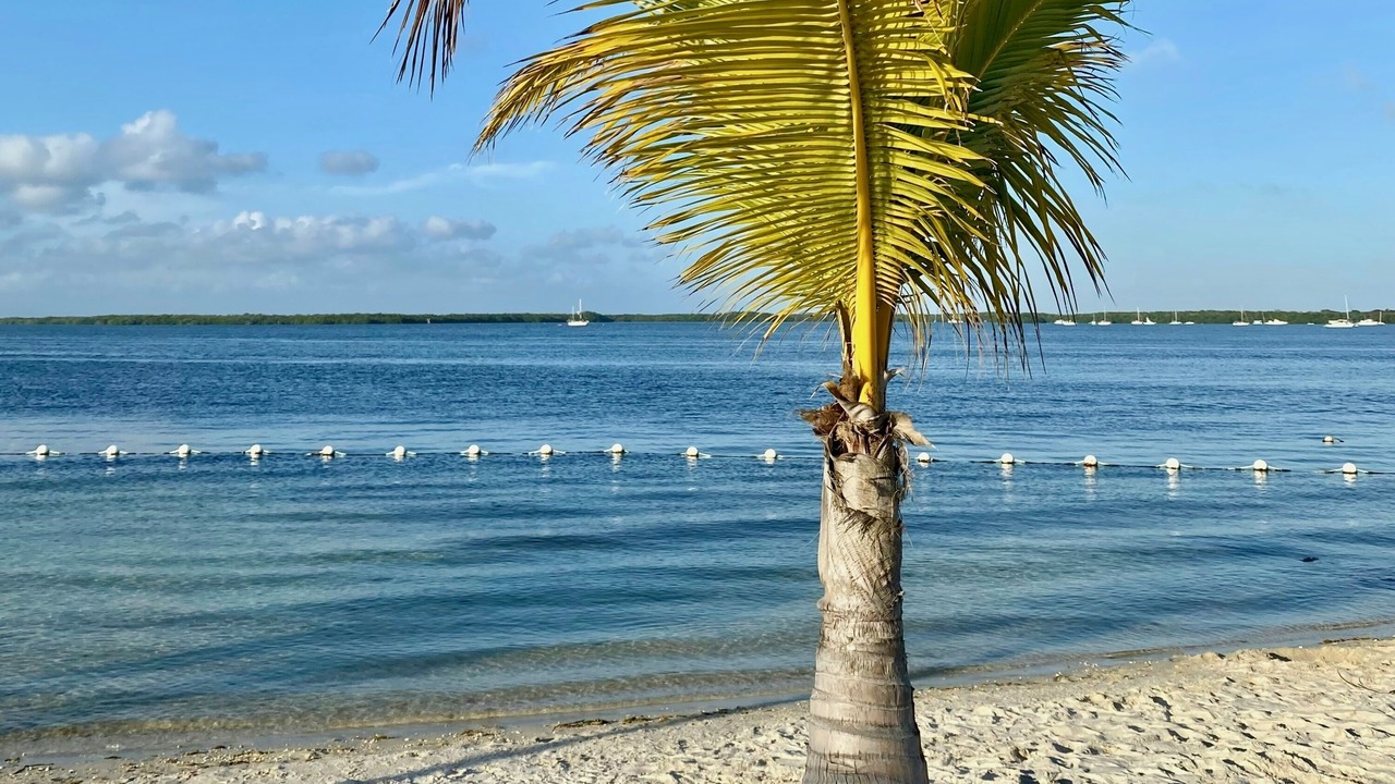 Photo of Others in Key Largo Village