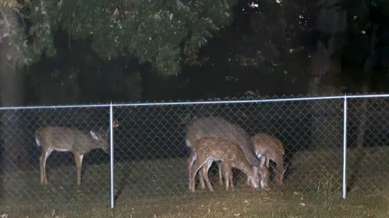 Photo of Others in Centerville