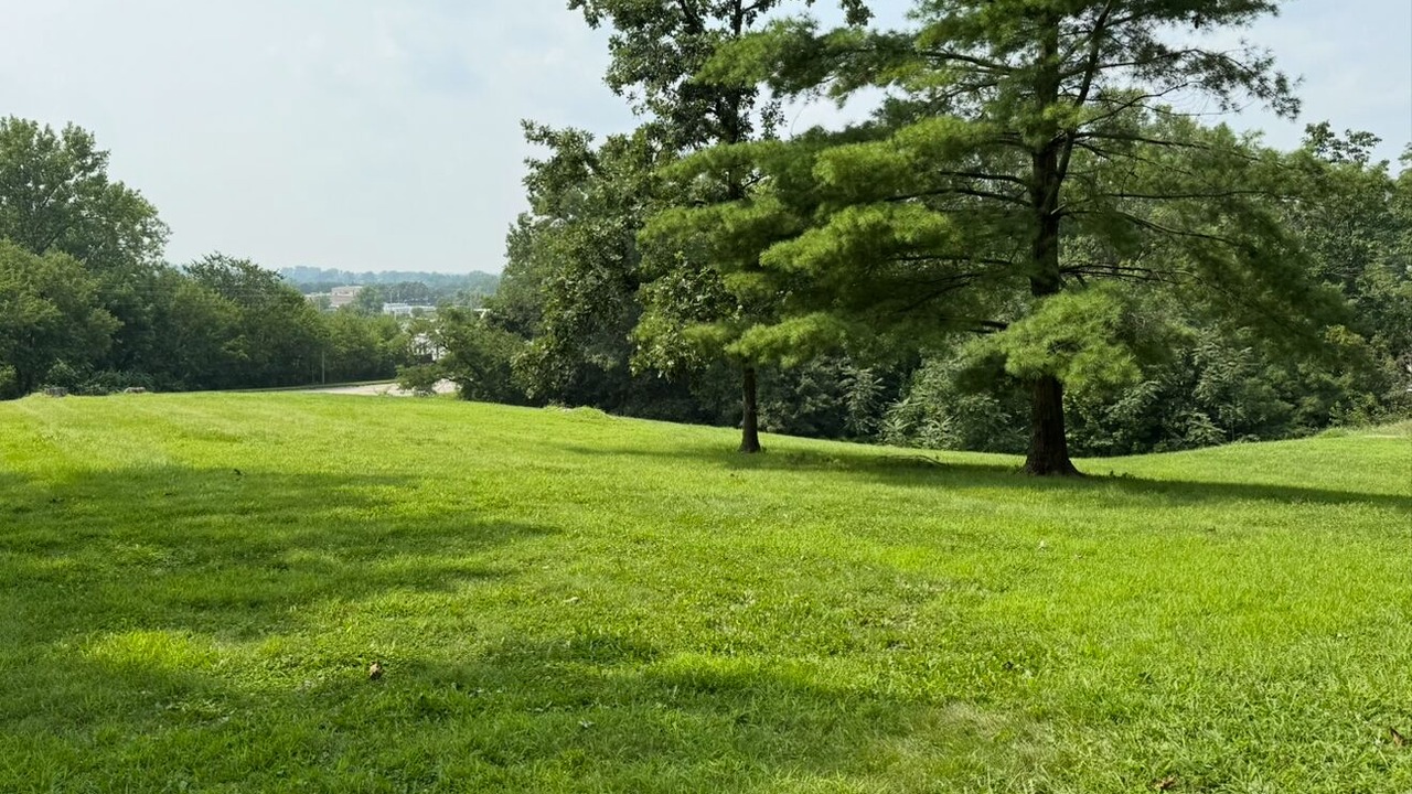 Photo of Others in Centerville