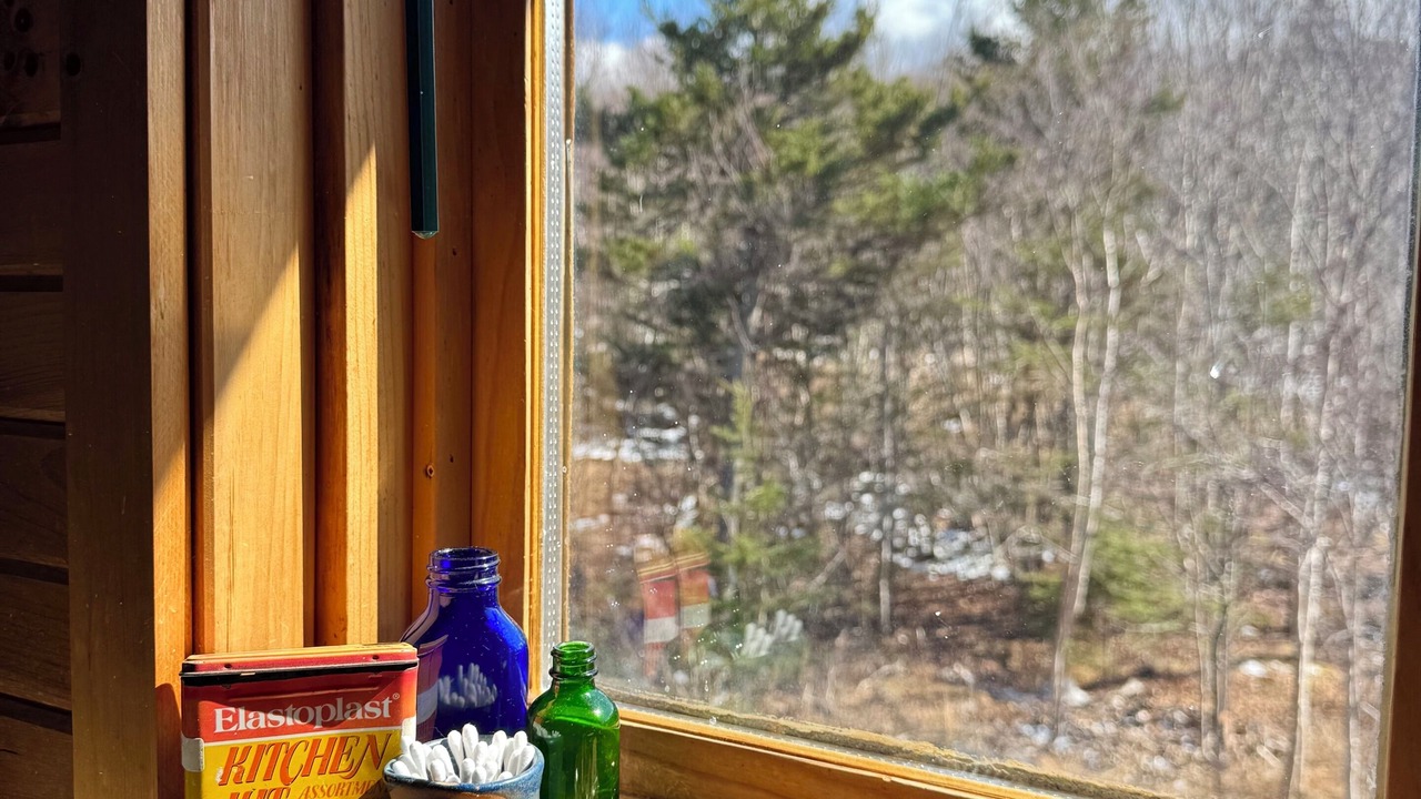 Photo of Others in Annapolis Valley
