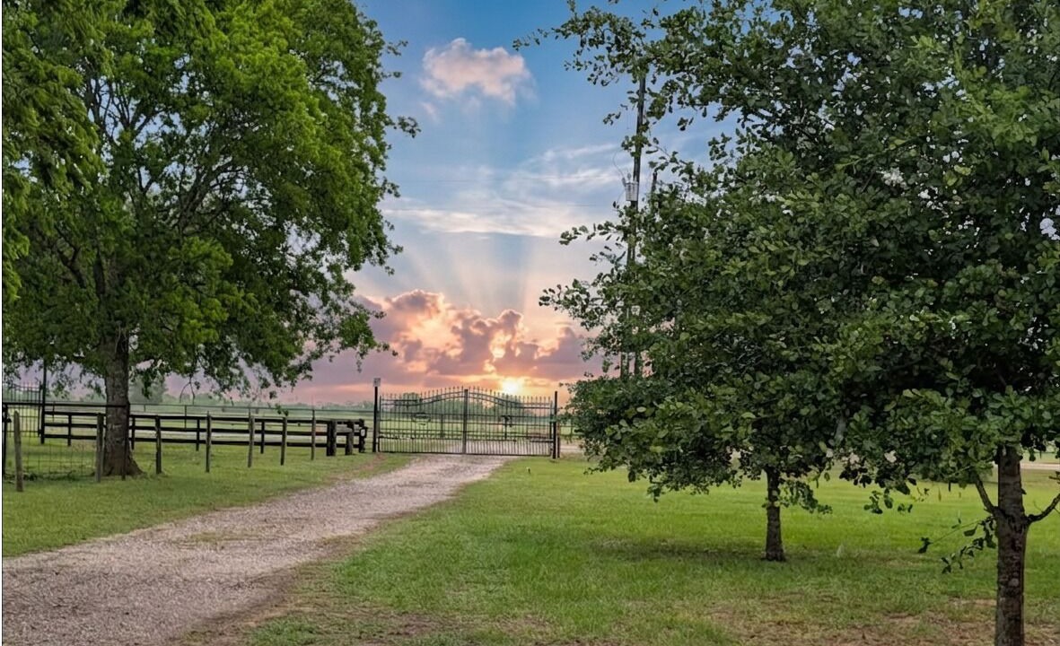 Photo of Others in Waller