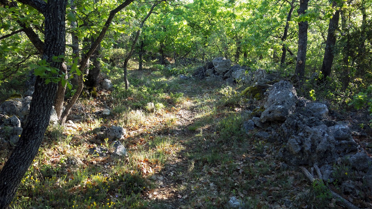 Photo of Others in Simiane-la-Rotonde