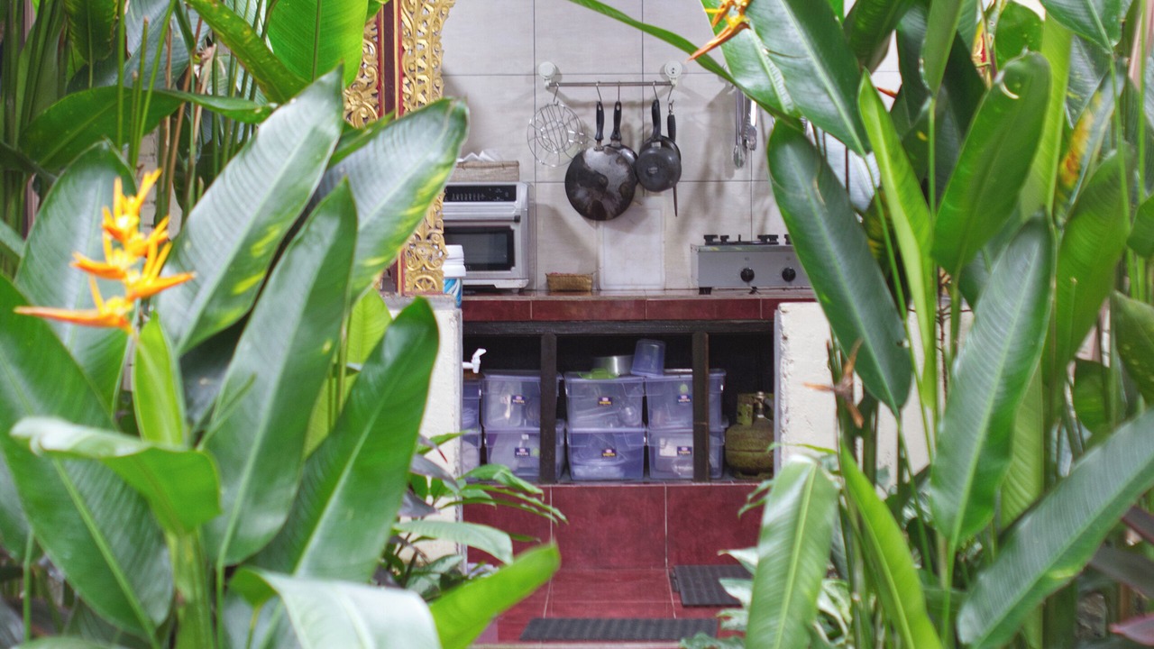Photo of Outdoor in Ubud City-Centre