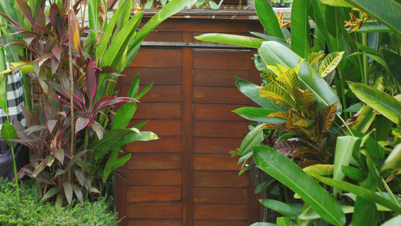 Photo of Outdoor in Ubud City-Centre