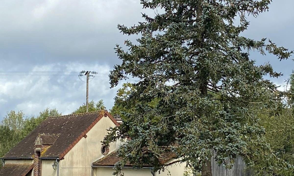 Photo of Outdoor in La Lande-sur-Eure
