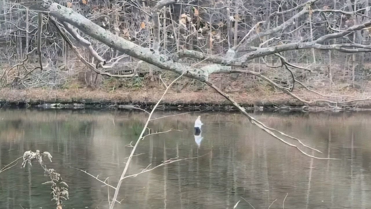 Photo of Others in Roscoe