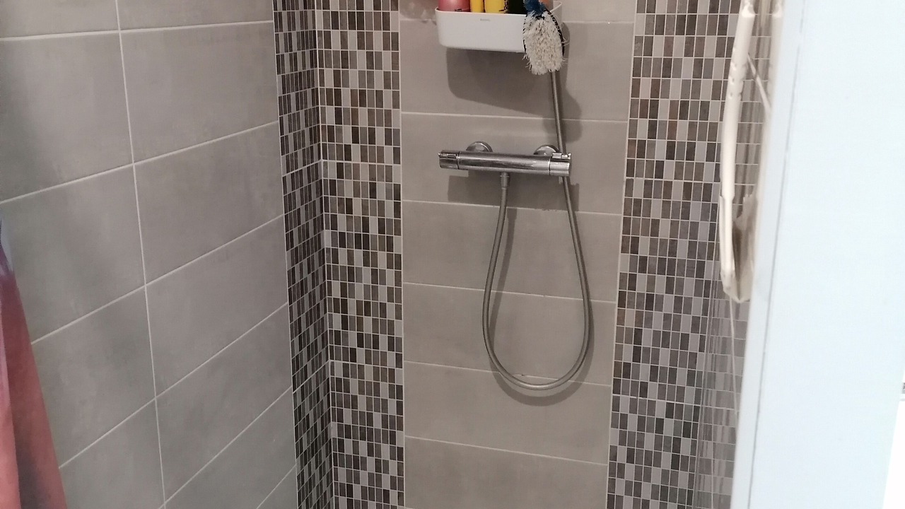Photo of Bathroom in Saint-Paul-en-Born