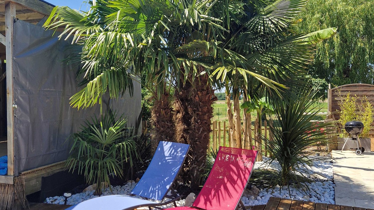Photo of Patio Balcony in Sorigny