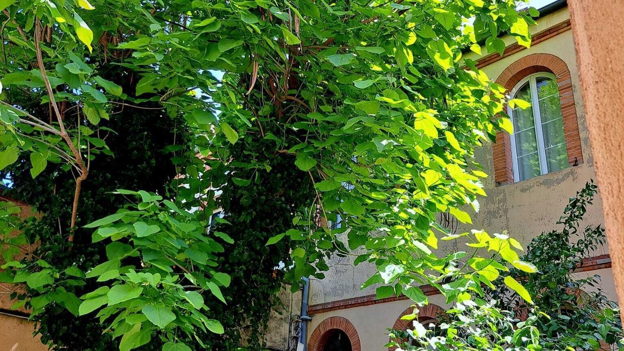 Photo of Outdoor in Matabiau