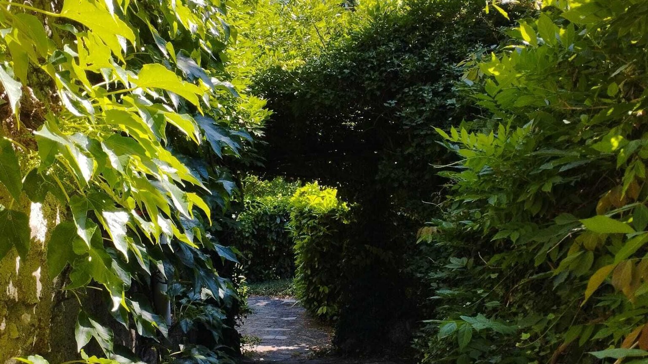 Photo of Outdoor in Saint-Andre-de-Majencoules