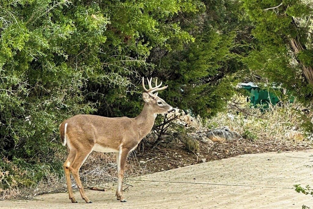 Photo of Others in Highland Lake Estates