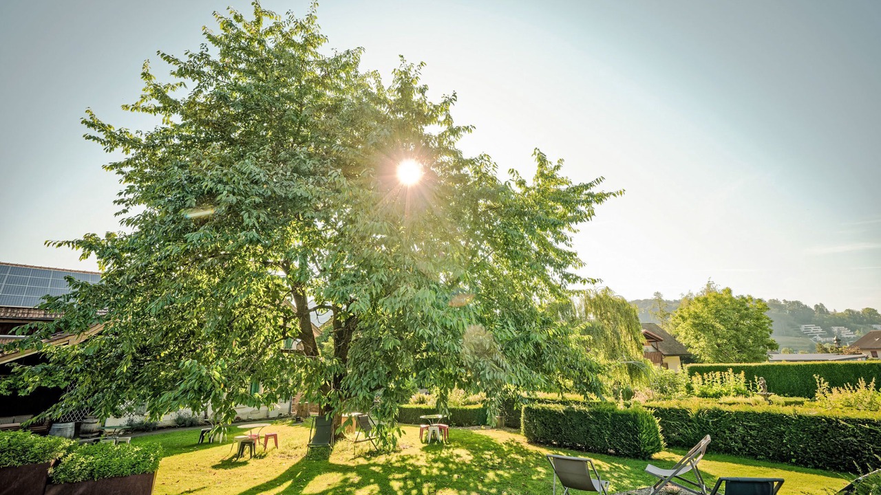 Photo of Others in Obererlinsbach