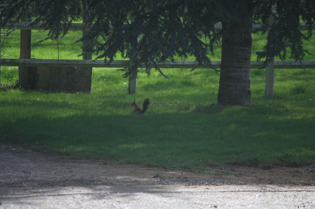 Photo of Others in Sainte-Honorine-de-Ducy