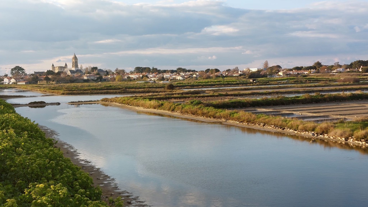 Photo of Others in Barbatre