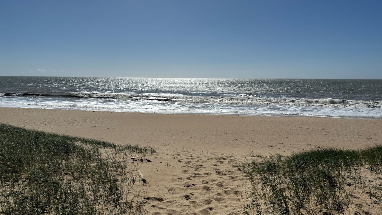 Photo of Others in Barbatre