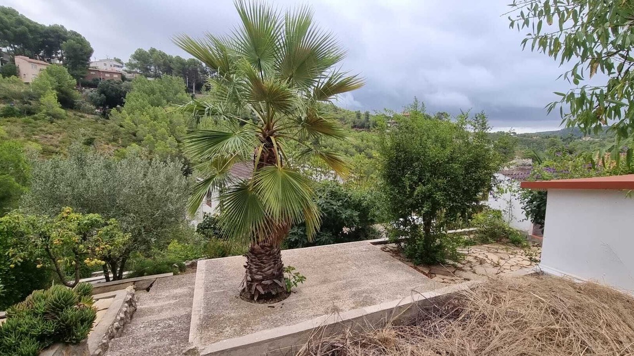Photo of Outdoor in Olivella