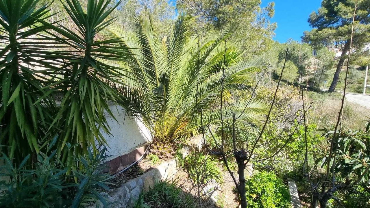 Photo of Outdoor in Olivella