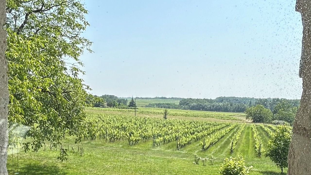 Photo of Others in Cazaugitat