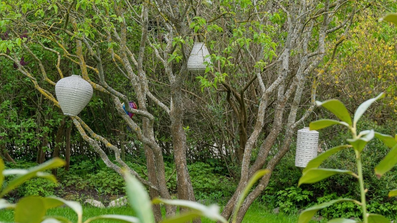 Photo of Others in Grevinge