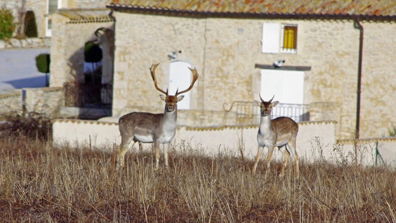 Photo of Others in Redortiers