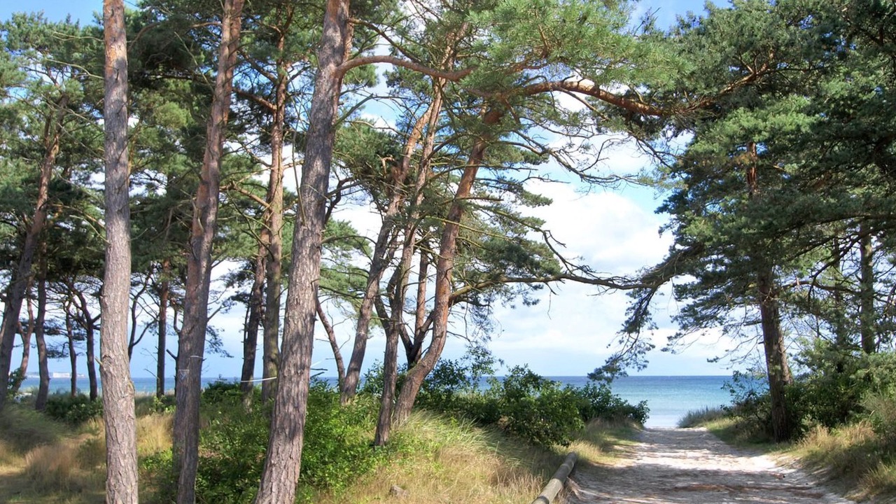 Photo of Outdoor in Bedegaard