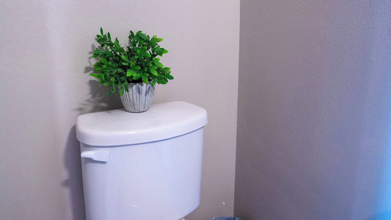 Photo of Bathroom in Wellborn