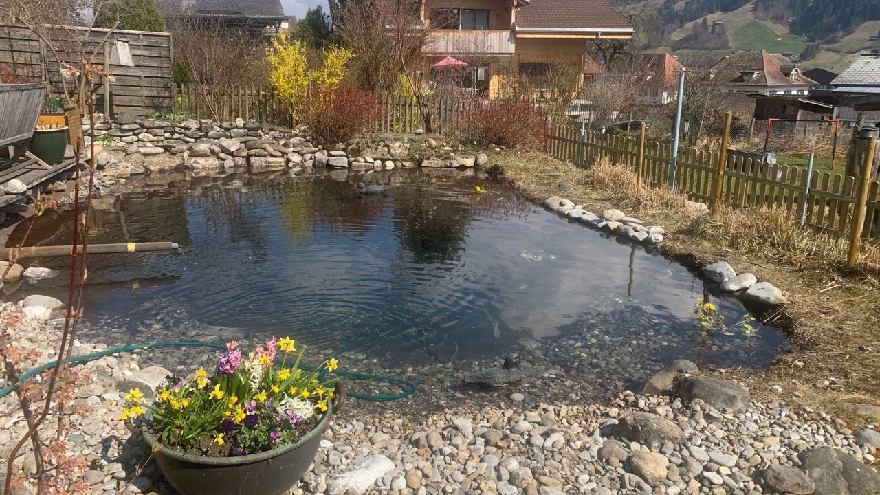 Photo of Others in Frutigen