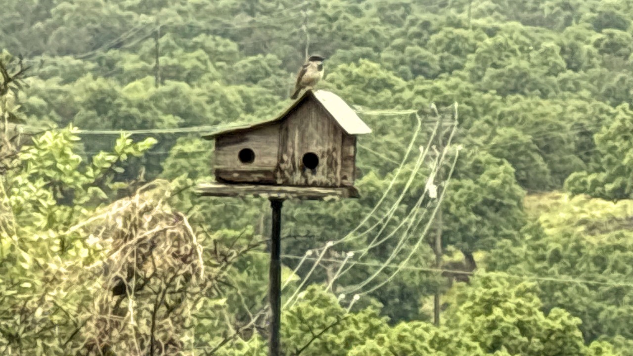 Photo of Others in Burnet