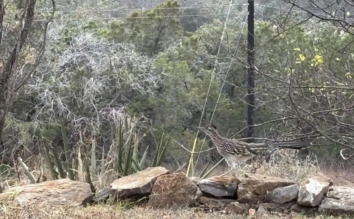 Photo of Others in Burnet